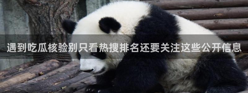 黑料新闻:遇到吃瓜核验别只看热搜排名还要关注这些公开信息