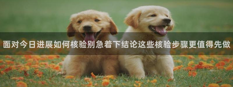 热门热点爆料:面对今日进展如何核验别急着下结论这些核验步骤更值得先做