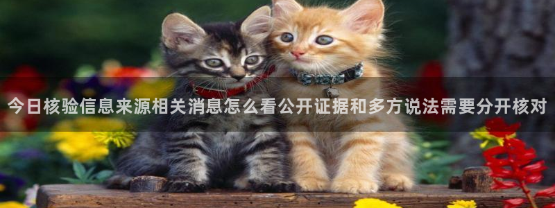 黑料今日事件：今日核验信息来源相关消息怎么看公开证据和多方说法需要分开核对