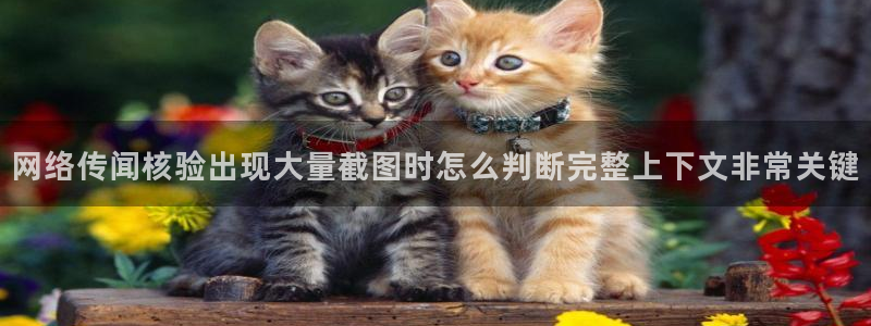 黑料爆料资讯搜索：网络传闻核验出现大量截图时怎么判断完整上下文非常关键