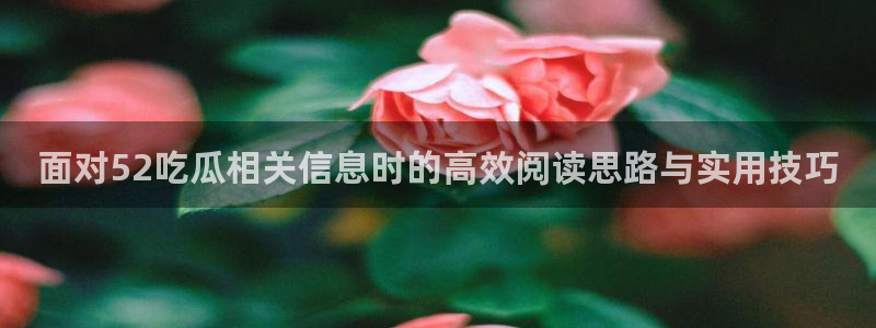 黑料爆料热门内容：面对52吃瓜相关信息时的高效阅读思路与实用技巧