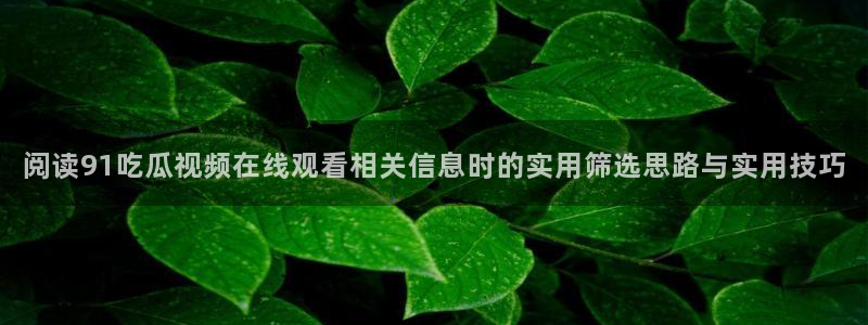 热点爆料网:阅读91吃瓜视频在线观看相关信息时的实用筛选思路与实用技巧