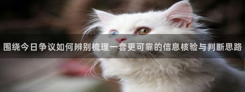 黑料热门话题:围绕今日争议如何辨别梳理一套更可靠的信息核验与判断思路