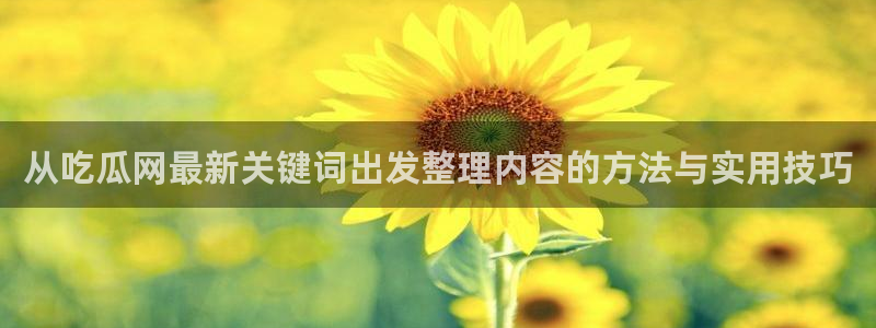 黑料爆料事件:从吃瓜网最新关键词出发整理内容的方法与实用技巧