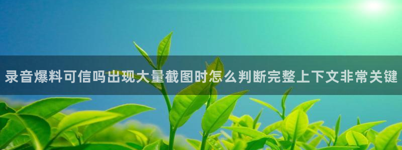 黑料话题：录音爆料可信吗出现大量截图时怎么判断完整上下文非常关键
