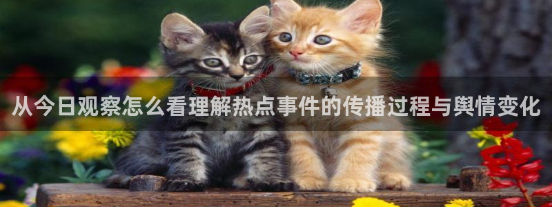 黑料爆料事件：从今日观察怎么看理解热点事件的传播过程与舆情变化